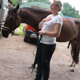 th-seminar-pferd-03-260